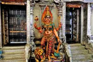 LITTLE INDIA (151)